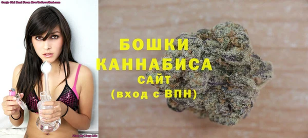Альфа ПВП Гусев