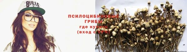 Альфа ПВП Гусев