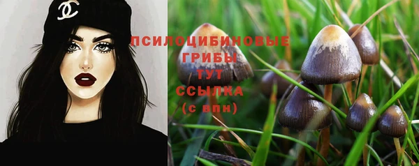 Альфа ПВП Гусев