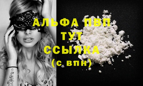Альфа ПВП Гусев