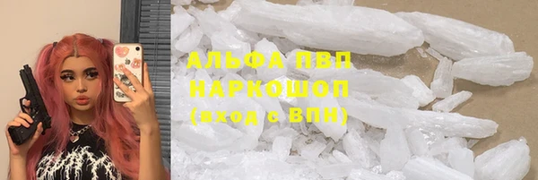 Альфа ПВП Гусев