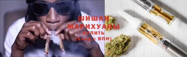 Альфа ПВП Гусев