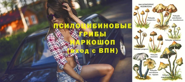 прущая мука Гусиноозёрск