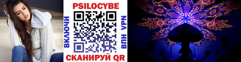 Купить где  Карачаевск  Галлюциногенные грибы мицелий 