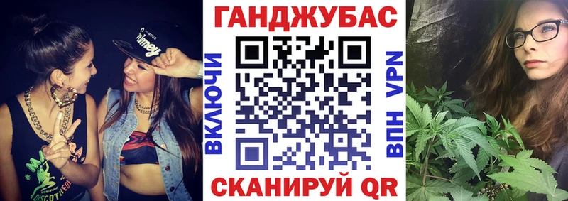 Бошки марихуана сатива  Купить закладки  Карачаевск 